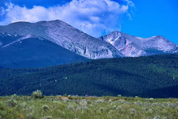 Las Montañas Con Bosque Día Soleado — Foto de Stock