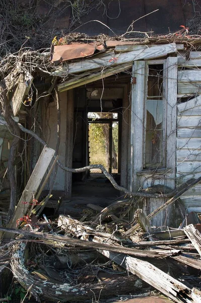 Une Maison Abandonnée Lentement Reprise Par Les Forces Nature — Photo