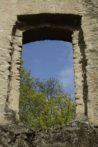 Eine Vertikale Aufnahme Eines Bogens Eines Alten Schlosses Oppenheim Rheinhessen — Stockfoto