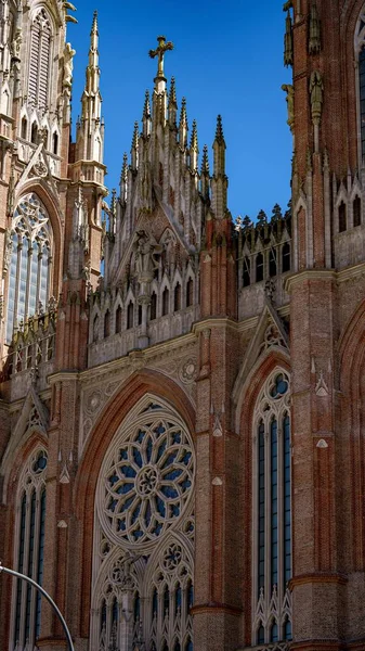 ブエノスアイレス アルゼンチンのラプラタ教会の垂直ショット — ストック写真