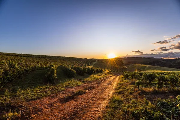 Pequeño Camino Una Granja Con Rayos Sol Durante Puesta Del — Foto de Stock