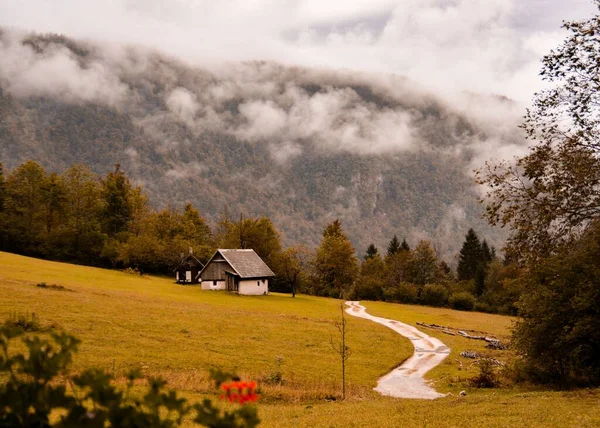 Ein Pfad Führt Einem Bauernhaus Mit Nebligem Wald Hintergrund — Stockfoto