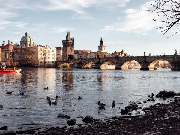 布拉格Vltava河上一座有着中世纪建筑的查尔斯桥的美丽照片 — 图库照片