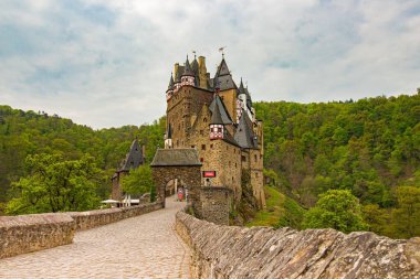 Yeşil ağaçlarla çevrili Eltz Kalesi 'nin güzel bir manzarası.