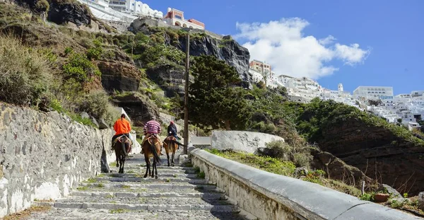 Een Groep Mensen Paardrijden Het Prachtige Santorini Griekenland — Stockfoto