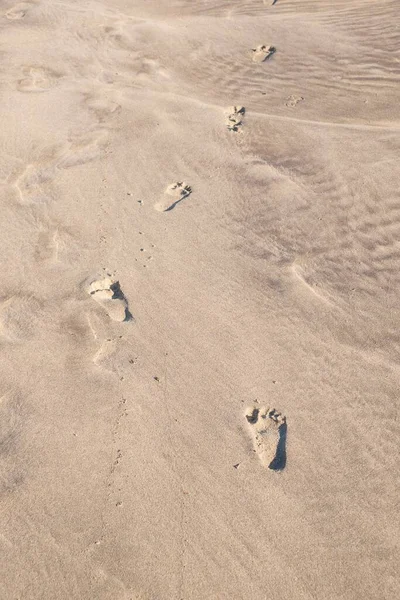 Nahaufnahme Menschlicher Fußabdrücke Sandstrand Selektiver Fokus — Stockfoto