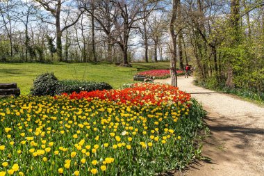 İtalya, Piedmont 'taki Messer Tulipano sergisinde Pralormo Şatosu' nda güzel açan laleler.