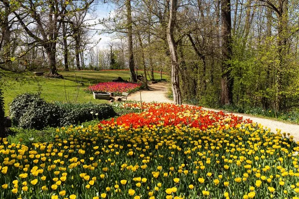 Renkli Lalelerle Dolu Baharda Pralormo Kalesi Nin Güzel Bahçesi Piedmont — Stok fotoğraf