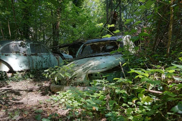 Mehrere Verlassene Und Alte Autos Wald — Stockfoto