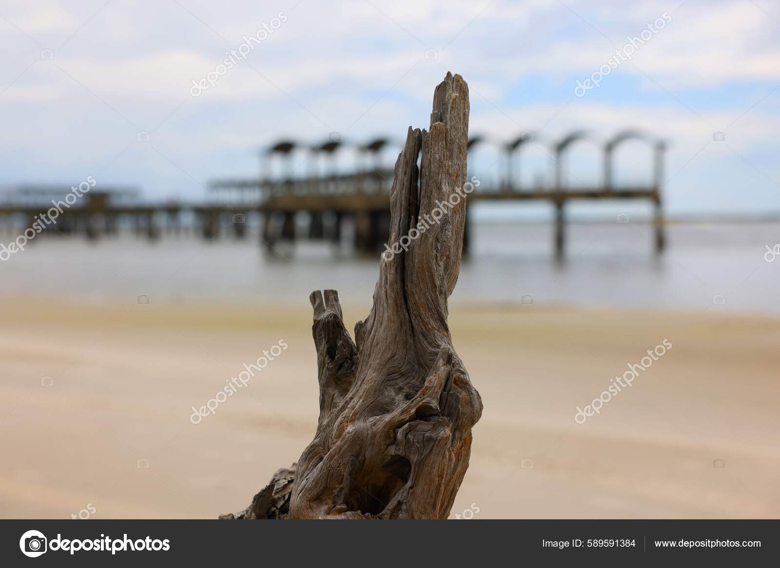 Driftwood Beach Fishing Pier Background Mid Afternoon Jekyll