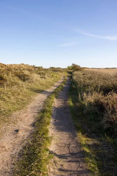 Camino Través Las Dunas Playa Sankt Peter Ording — Foto de Stock