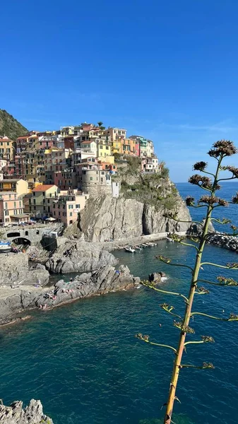 Colpo Verticale Del Villaggio Manarola Nelle Cinque Terre Liguria Italia — Foto Stock