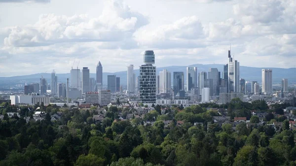 前景に木のあるドイツ フランクフルトの空中風景 — ストック写真