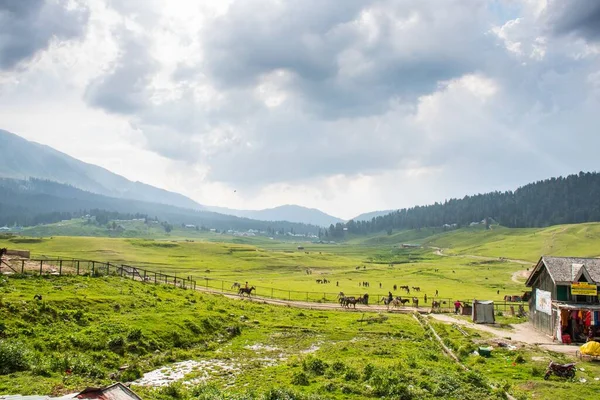 Gulmarg Conhecido Como Gulmarag Kashmiri Uma Cidade Estação Montanhosa Destino — Fotografia de Stock