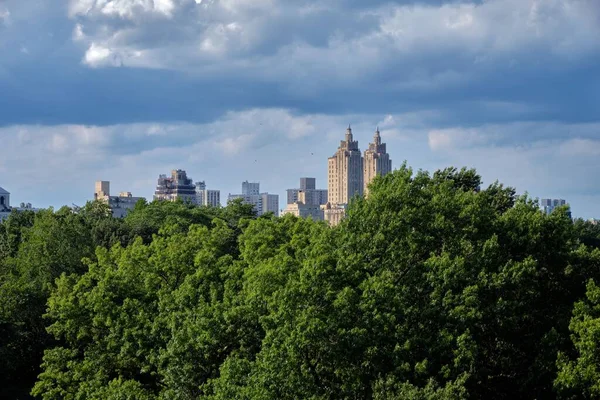 Una Vista Aerea Dello Skyline New York City Dietro Alberi — Foto Stock