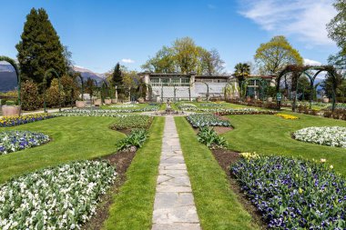 Baharda çiçek açan lalelerle dolu Villa Pallavicino Bahçesi, Stresa Piedmont, İtalya