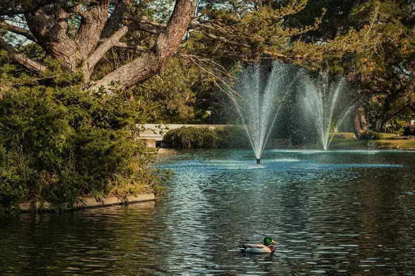 Мальовничий Знімок Природного Парку Фонтанами Порожниною Воді — стокове фото