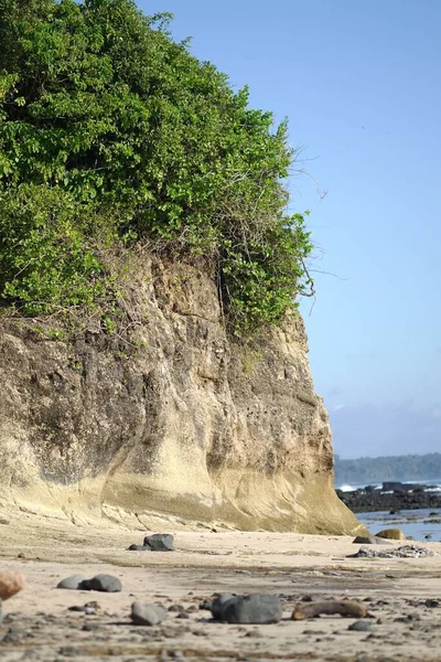 Eine Vertikale Aufnahme Üppig Grüner Pflanzen Steilen Felsklippen Ufer — Stockfoto