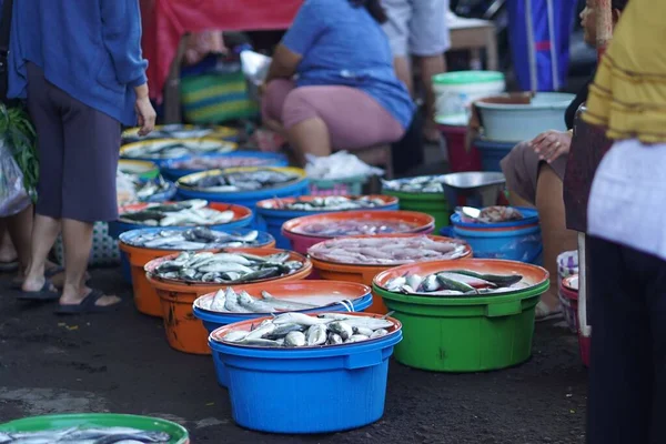 Tiro Seletivo Foco Variedade Peixes Banheiras Coloridas Venda Mercado Exterior — Fotografia de Stock
