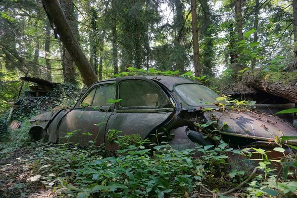Shot Abandoned Old Car Forest — Stock Photo, Image