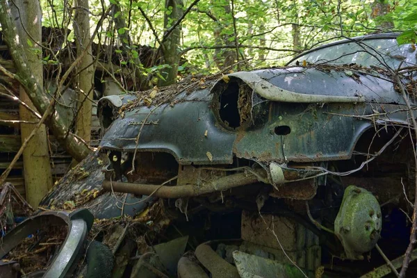 Shot Abandoned Old Car Forest — Stock Photo, Image