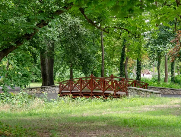 Una Bella Vista Ponte Metallo Rosso Nel Parco — Foto Stock