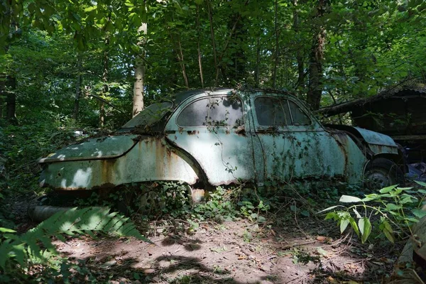 Съемка Нескольких Заброшенных Старых Машин Лесу — стоковое фото