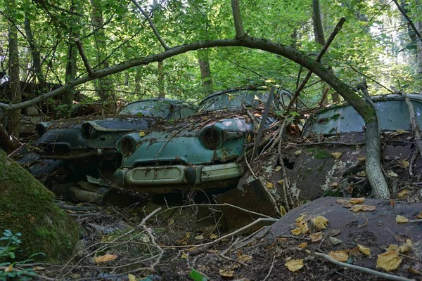 Снимок Заброшенной Старой Машины Лесу — стоковое фото