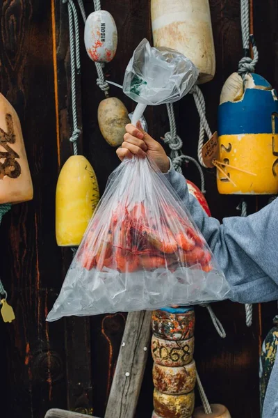 Жінка Рука Тримає Поліетиленовий Пакет Свіжих Креветок Креветки Морепродукти Перед — стокове фото