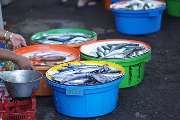 Uno Scatto Selettivo Varietà Pesce Vasche Colorate Vendita Mercato All — Foto Stock