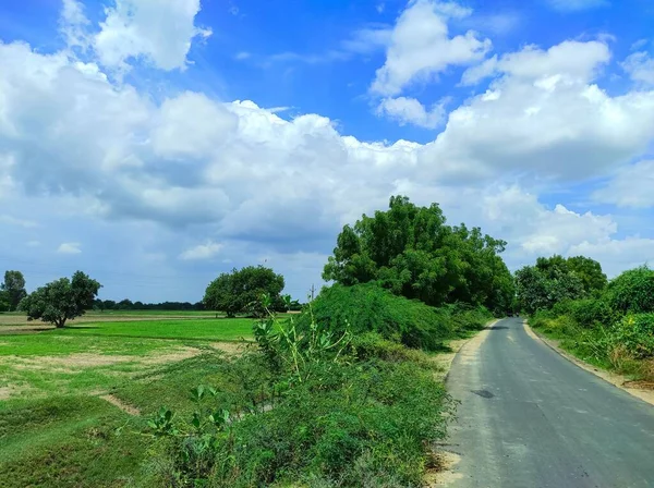 Een Prachtig Schot Van Indian Village Farm — Stockfoto