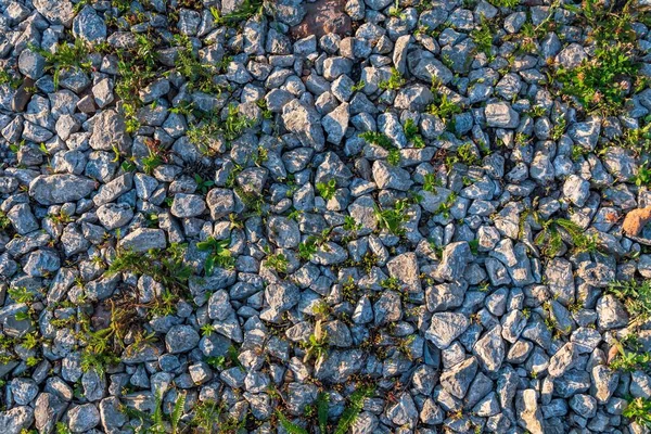 Superfície Texturizada Estrada Terra Preenchida Com Telas Pedra Esmagada Grama — Fotografia de Stock