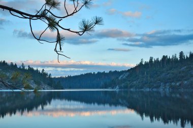 Karanlık günbatımı gökyüzünün altında ağaçların yansıttığı büyüleyici yeşil tepeler.