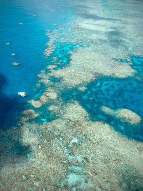 Yazın Avustralya 'daki Büyük Set Resifi' nin hava manzarası.