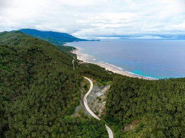 Bir yolun nefes kesen yüksek açısı batıdan doğuya, ormanın içinde deniz kıyısında.