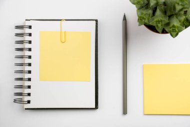 Okul ve ofis malzemelerinin en üst görünümü - öğretim, öğrenme, yazma araçları