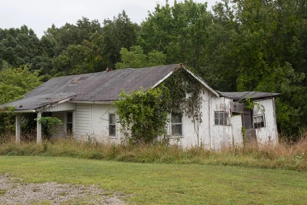 Old Ruined Abandoned Wooden House Overgrown Shrubs Grass — Stock Photo, Image