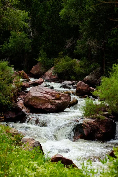Disparo Vertical Río Que Fluye Por Las Rocas Parque Colorado —  Fotos de Stock