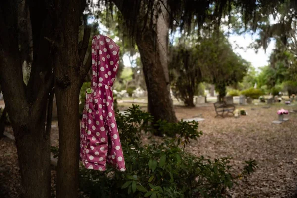 Primo Piano Impermeabile Rosa Appeso All Albero Del Cimitero — Foto Stock