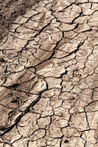 Colpo Verticale Terreno Fangoso Incrinato Una Zona Rurale Con Tempo — Foto Stock