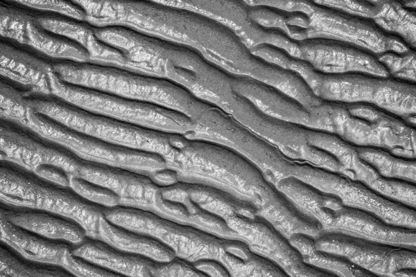 Çamur dokusunun gri tonlu yakın çekimi.