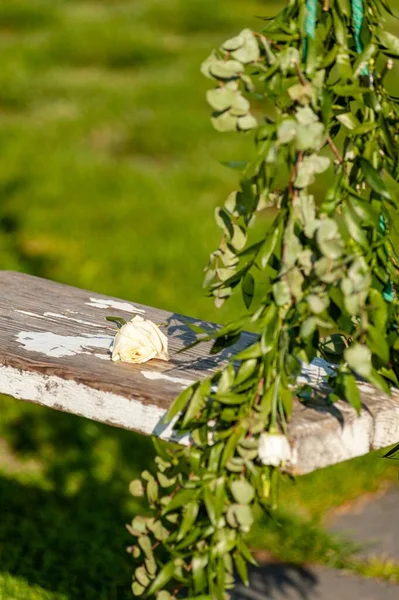 Vertical Shot White Rose Wooden Swing Decorated Green Leaves Park — Stock Photo, Image