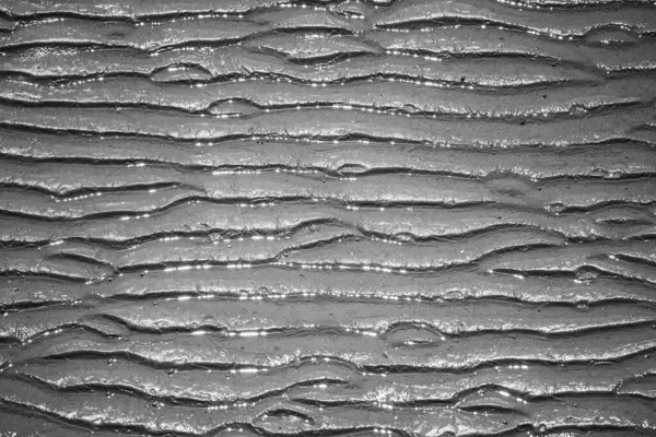 Сірий Крупним Планом Знімок Текстури Бруду — стокове фото