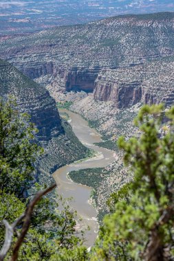 Utah 'taki Dinozor Ulusal Anıtı' ndaki yeşil bir nehrin dikey görüntüsü.