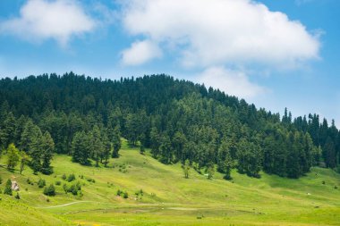 Himalayalar 'da yaz. Gulmarg 'ın manzaralı güzelliği, dünyadaki cennet. İnanılmaz Hindistan..