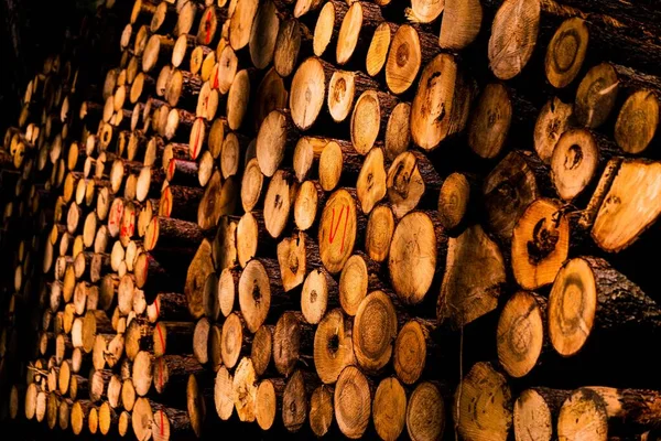 Closeup Shot Pile Logs Firewood — Stock Photo, Image