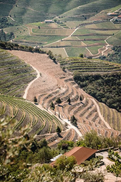Die Atemberaubende Aussicht Über Das Douro Tal Einem Sonnigen Tag — Stockfoto