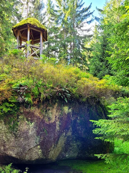 Vertikal Bild Klippa Täckt Växter Med Ett Litet Lusthus Skog — Stockfoto
