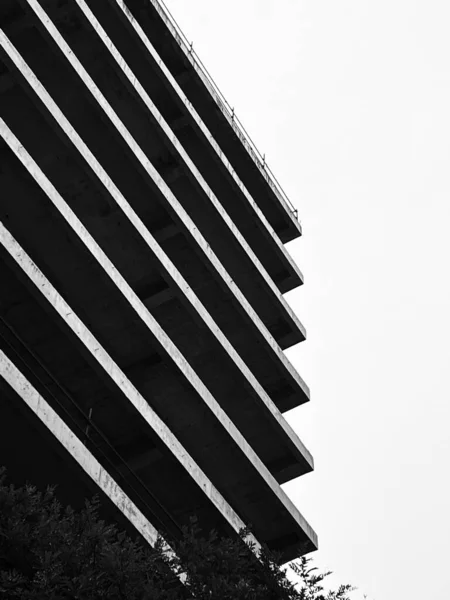 건물의 그레이 스케일 — 스톡 사진
