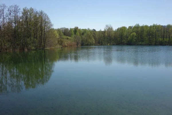 Hoge Groene Bomen Langs Oever Van Het Meer Weerspiegeld Het — Stockfoto